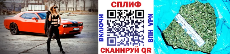 Купить где  Ревда  Конопля гибрид 